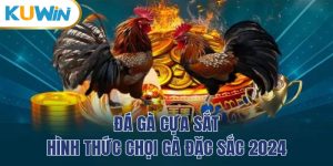 Các loại hình cược phổ biến trong Đá Gà Kuwin